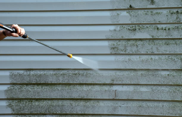 Best Residential Pressure Washing Services  in Woodland Beach, MI