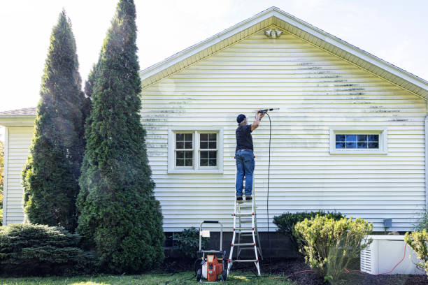 Best Best Pressure Washing Companies  in Woodland Beach, MI