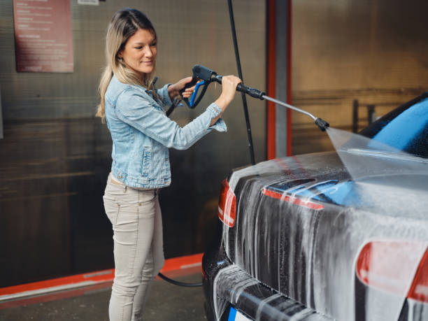 Best Pressure Washing Company Near Me  in Woodland Beach, MI